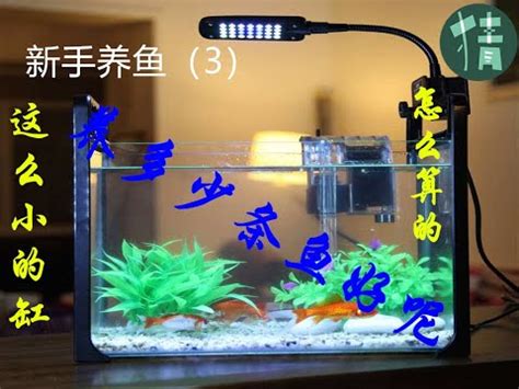 黃河長江比較 魚缸養魚數量計算